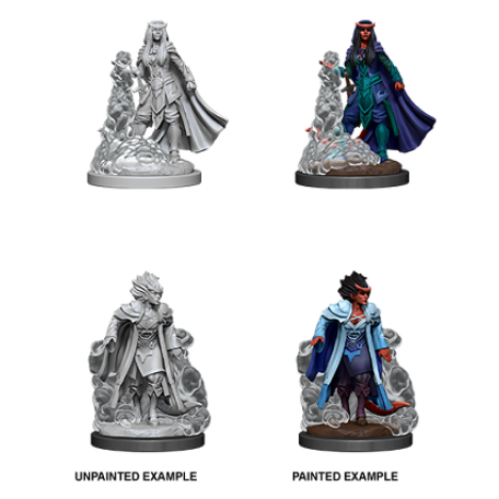 DND Unpainted Minis WV12 Female Tiefling Sorcerer