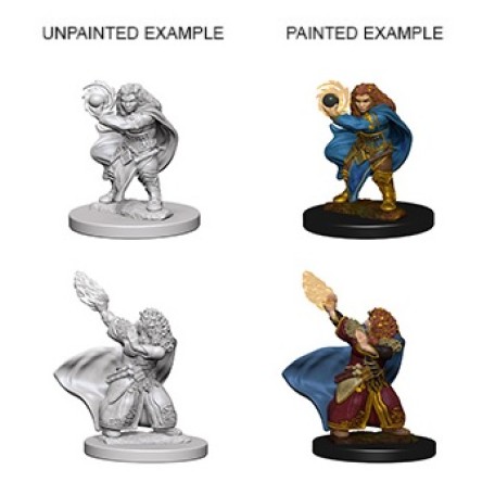 DND Unpainted Minis WV4 Dwarf Female Wizard